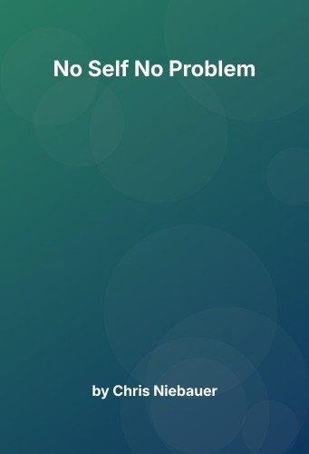 Cover for No Self No Problem